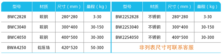 计数mini台秤-BW产品参数