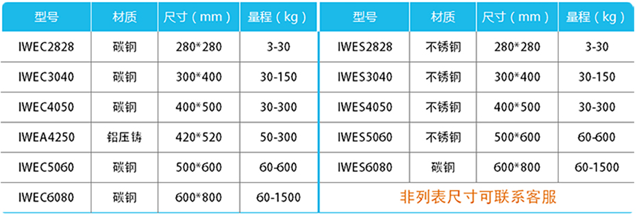 精度计重台秤-IWE产品参数